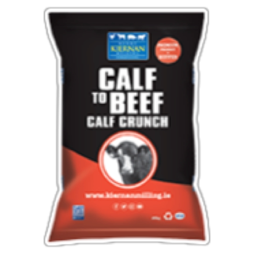Calf Crunch
