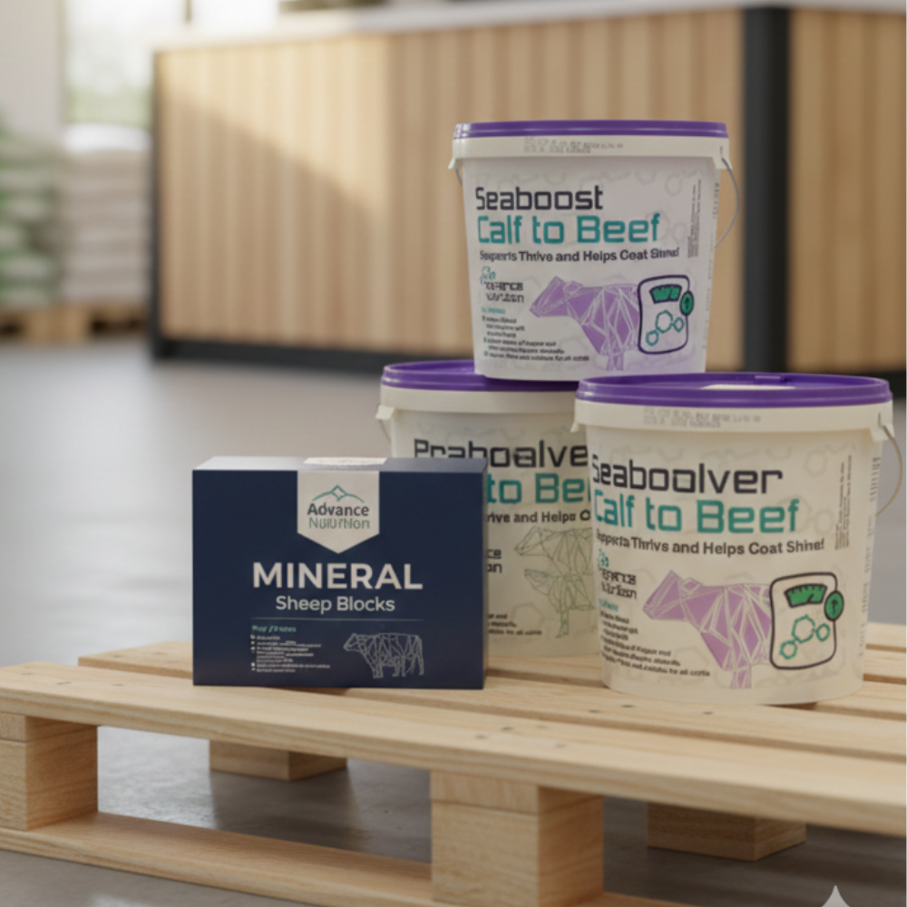 Mineral & Supplements